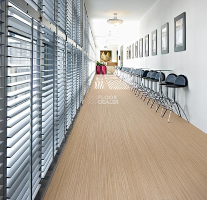 Forbo Marmoleum Decibel on Order e523535 North Sea coast фото 2 | FLOORDEALER